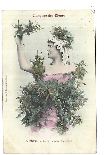 Carte fantaisie bergeret - carte,