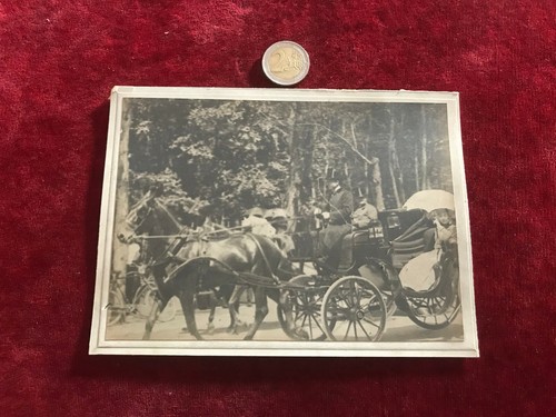 Photographie ancienne attelage - photographie,