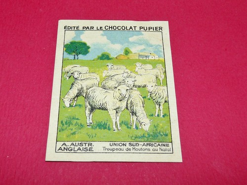 Rare chromo chocolat pupier - rare,