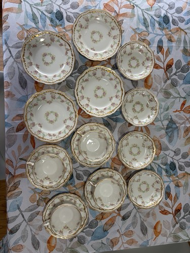 Set theodore haviland - 16,