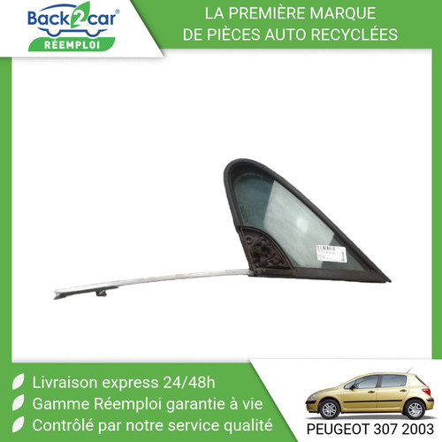 Glace fixe porte avg - glace,