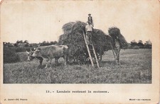 CP LANDAIS RENTRANT MOISSON -