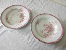 2 Assiettes creuses U & Cie  Sarreguemines GROSEILLES  20,5cm de diamètre