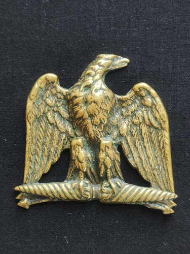 Superbe aigle impériale - superbe, en
