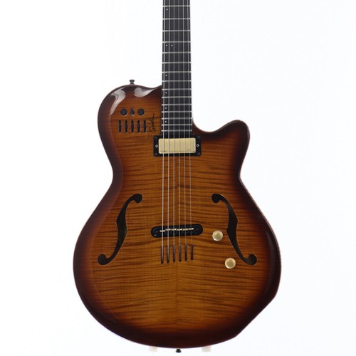 Godin multiac jazz light - multiac,