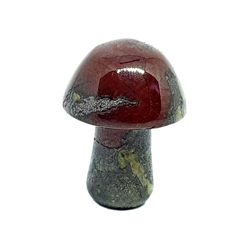 Pierre sang champignon - pierre,