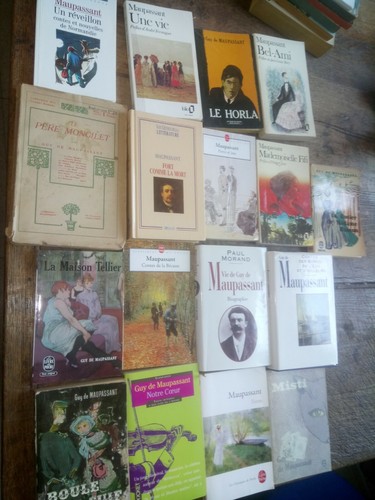 Lot livres guy de - lot, 17