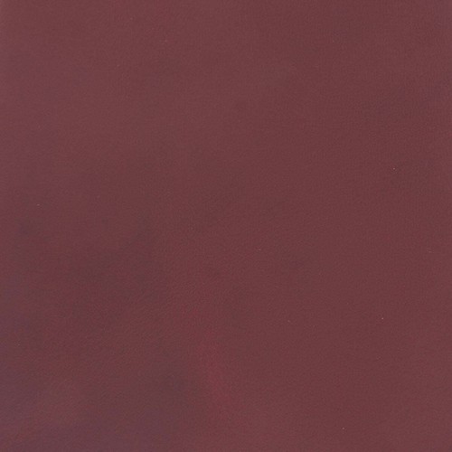 Morceau cuir croupon - cuir, de