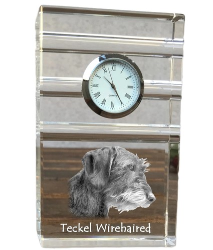 Teckel poil dur horloge à - à,