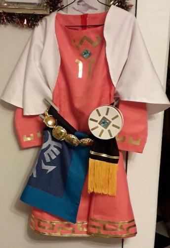 Cosplay princesse zelda - princesse,