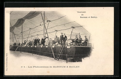 Les phenomenes barnum - phenomenes,