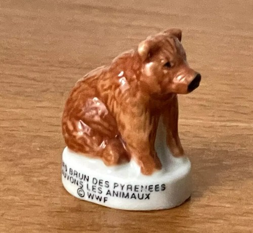 Fève ours brun des - fève, pyrénées