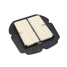 Entrée de filtre à air de