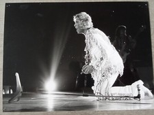 JOHNNY HALLYDAY: photo  pas de repro d époque 24cm/18cm