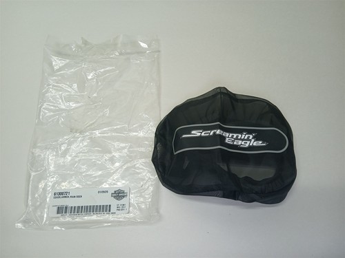 Harley davidson screamin eagle - screamin,