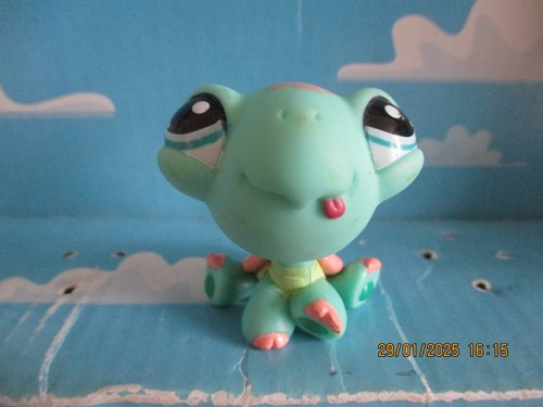 Petshop bebe tortue - tortue, triples)