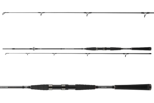Canne mer daiwa seahunter - de, x