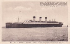 🦬Carte Postale / Postcard /