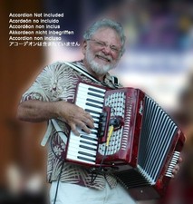 Weltmeister Accordion Pickup