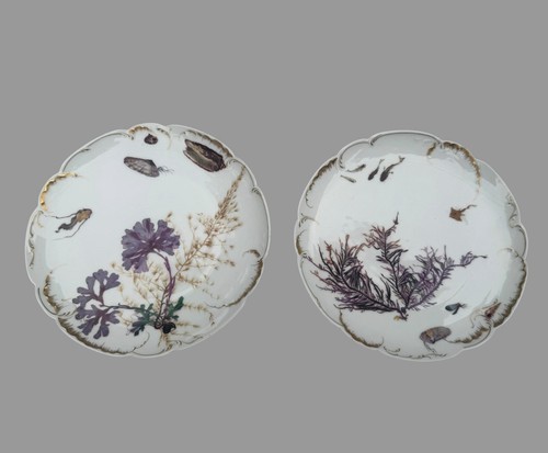 Antique haviland limoges - antique,