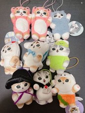 Ensemble peluche chat Mofusand