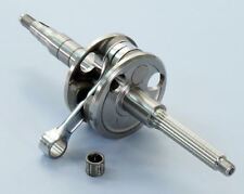 VILEBREQUIN POLINI RENFORCE