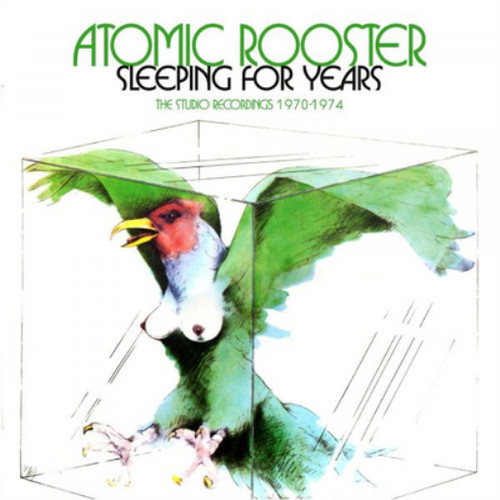 Atomic rooster sleeping - rooster,