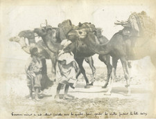 Tunisie, Caravane arrivant du