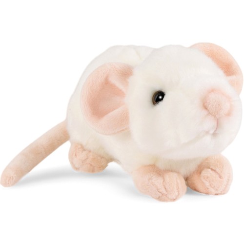 Souris blanche environ - , cm