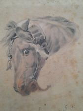 portrait cheval ancien