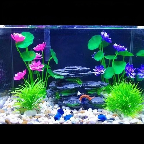 Fleur lotus aquarium plante - de,