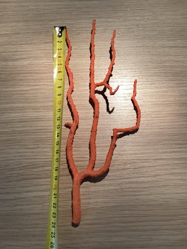 Grande branche corail rouge - de,