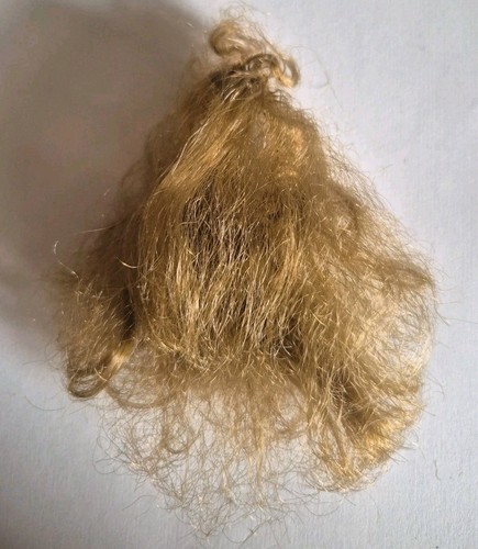 Perruque pour poupée barbie - pour,