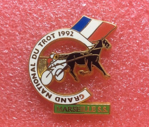 T07 pins cheval grand - t07,