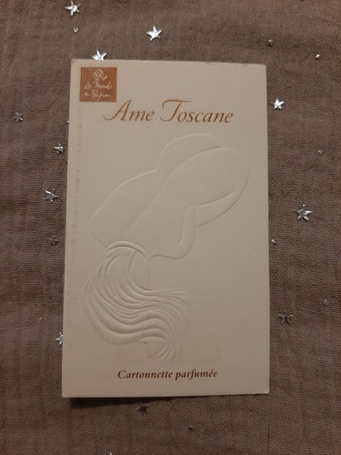 Perfume card - perfume,