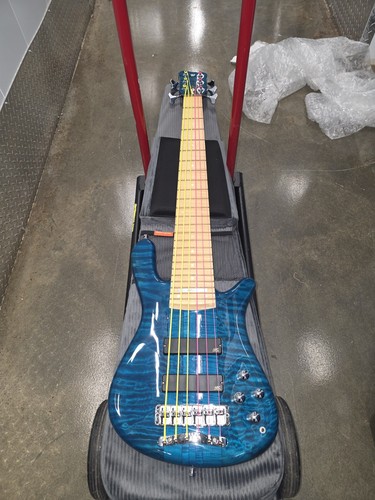 Warwick custom streamer stage - streamer,