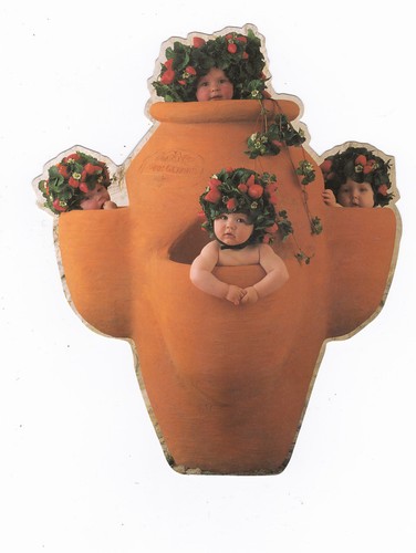 Bebe anne geddes carte postale - bebe,