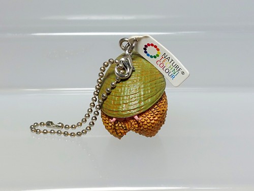 Scaly foot snail gastropod - scaly-foot,