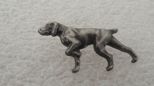 Pin chien pointer vizsla - chien.,