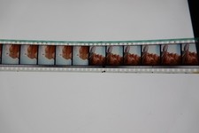 chuck norris OEIL POUR OEIL  35 mm film movie trailer bande annonce