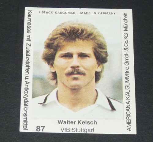 Walter kelsch vfb - walter,