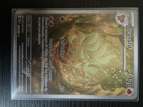 Feunard 199 197 - feunard, carte