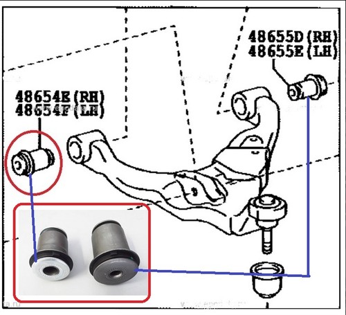 Avant inférieur fourche - 2,