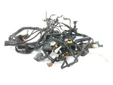 FAISCEAU ELECTRIQUE BENELLI TNT CAFE RACER 2004-2010 / NE 10344