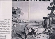 PUBLICITE ADVERTISING 025 1965