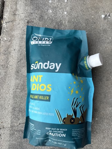 Sunday ant adios insect - -,