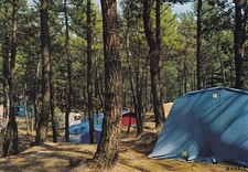 Carte postale postcard 10x15cm