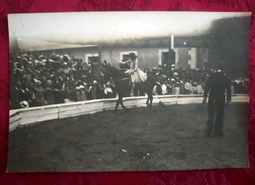 Carte photo cirque - carte, numéro