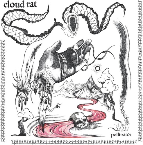 Cloud rat pollinator - cloud,