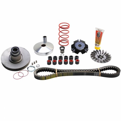 Variateur scoot malossi over